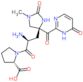 1-[(2S)-2-amino-3-{(4S)-1-methyl-2-oxo-4-[(6-oxo-1,6-dihydropyrimidin-2-yl)carbonyl]imidazolidin-4-yl}propanoyl]-L-proline