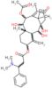 10-(acetyloxy)-1,2,9-trihydroxy-13-oxotaxa-4(20),11-dien-5-yl 3-(dimethylamino)-3-phenylpropanoate