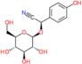 (2R)-(beta-D-glucopyranosyloxy)(4-hydroxyphenyl)ethanenitrile