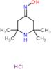 N-hydroxy-2,2,6,6-tetramethylpiperidin-4-imine hydrochloride (1:1)