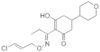 Äquinoktium