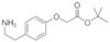 TERT-BUTYL [4-(2-AMINO-ETHYL)-PHENOXY]-ACETATE