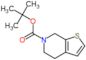 tert-butyl 4,7-dihydrothieno[2,3-c]pyridine-6(5H)-carboxylate