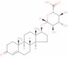 Testosterone glucuronide