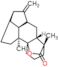 (4S,4aR,11aS)-4,11a-dimethyl-8-methylidenedodecahydro-1H-11b,4-(epoxymethano)-6a,9-methanocyclohep…