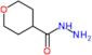 tetrahydropyran-4-carbohydrazide