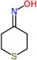 N-hydroxytetrahydro-4H-thiopyran-4-imine