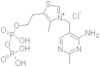 Thiamine pyrophosphate