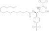 [R-(R*,R*)]-2-[(dichloroacetyl)amino]-3-hydroxy-1-[4-(methylsulphonyl)phenyl]propyl palmitate