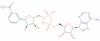 thionicotinamide adenine dinucleotide