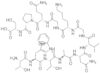 Thrombin (B 147-158) (human)