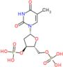 thymidine 3',5'-bis(dihydrogen phosphate)