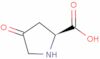 4-oxo-L-proline