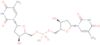 Thymidylyl-(3′→5′)-thymidine