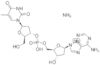 thymidylyl(3'5')-2'-deoxyadenosine*ammonium