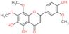 5,6-dihydroxy-2-(4-hydroxy-3-methoxyphenyl)-7,8-dimethoxy-4H-chromen-4-one