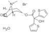 Tiotropiumbromid-Hydrat