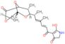 5-hydroxy-4-{(2E,4E,6R)-4-methyl-6-[(1R,2S,4R,6R,7R,8R)-1,2,7-trimethyl-5-oxo-3,9,10-trioxatricycl…