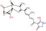 5-hydroxy-4-{(2E,4E)-6-[2-(hydroxymethyl)-1,7-dimethyl-5-oxo-3,9,10-trioxatricyclo[4.3.1.0~2,4~]de…