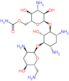 6′′-O-Carbamoyltobramycin