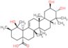 Tormentic acid