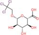 2,2,2-trichloroethyl beta-D-glucopyranosiduronic acid