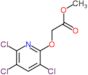 Methyl 2-[(3,5,6-trichloro-2-pyridinyl)oxy]acetate