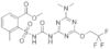 Triflusulfuron-méthyle