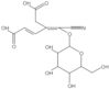 (2E,4Z)-4-[cyano(hexopyranosyloxy)methylidene]hex-2-enedioic acid