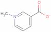 Trigonelline