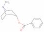 tropacocaine