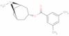 (3-endo)-8-Methyl-8-azabicyclo[3.2.1]oct-3-yl 3,5-dimethylbenzoate