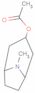 O-acetyltropine