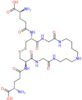 (2S,2'S)-5,5'-{[(4R,23R)-5,8,19,22-tetraoxo-1,2-dithia-6,9,13,18,21-pentaazacyclotetracosane-4,23-diyl]diimino}bis(2-amino-5-oxopentanoic acid) (non-preferred name)