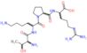 threonyllysylprolyl-N~5~-(diaminomethylidene)ornithine