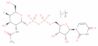 uridine 5'-(2-acetamido-2,4-dideoxy-4-fluorogalactopyranosyl)diphosphate