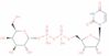 uridine-5'-diphosphogalactose disodium salt