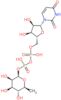 UDP-rhamnose