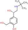 4-[(1S)-2-(tert-butylamino)-1-hydroxyethyl]-2-(hydroxymethyl)phenol