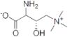 (S)-Amino Carnitine