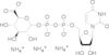 uridine-5'-diphosphoglucuronic acid triammonium salt