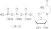 Uridine 5'-triphosphate trisodium salt dihydrate