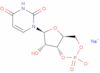uridine 3':5'-cyclic monophosphate*sodium