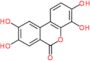 3,4,8,9-tetrahydroxy-6H-benzo[c]chromen-6-one