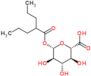 Valproic acid glucuronide