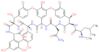 (1S,2R,18R,19R,22S,25R,28R,40S)-22-(2-amino-2-oxoethyl)-5,15-dichloro-2,18,32,35,37,48-hexahydroxy-19-{[(2R)-4-methyl-2-(methylamino)pentanoyl]amino}-20,23,26,42,44-pentaoxo-7,13-dioxa-21,24,27,41,43-pentaazaoctacyclo[26.14.2.2~3,6~.2~14,17~.1~8,12~.1~29,