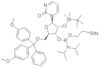 2'-O-T-BUTYLDIMETHYLSILYL-3'-O-[(DIISOPROPYLAMINO)(2-CYANOETHOXY)PHOSPHINO]-5'-O-(4,4'-DIMETHOXY...