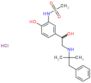 N-(2-hydroxy-5-{1-hydroxy-2-[(2-methyl-1-phenylpropan-2-yl)amino]ethyl}phenyl)methanesulfonamide...