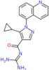 5-cyclopropyl-N-(diaminomethylidene)-1-quinolin-5-yl-1H-pyrazole-4-carboxamide