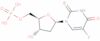 5-fluoro-2-thio-2'-deoxyuridylate